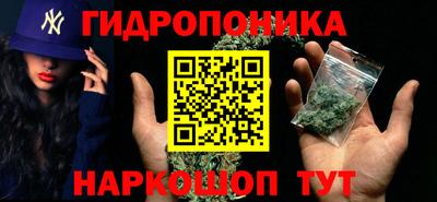 гидра Лесной
