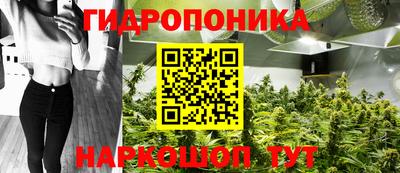 гидра Лесной