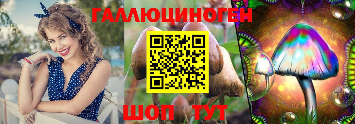 Большой Камень  Галлюциногенные грибы Psilocybine cubensis  Вход с VPN 